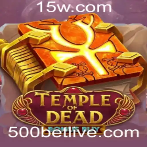 500 bet Casino App